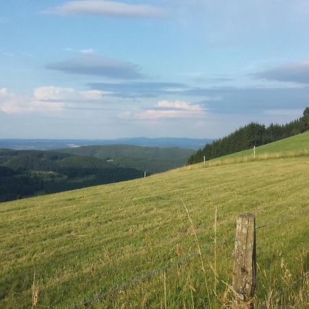 Cosy Apartment Over Usseln With Private Terrace Willingen  Buitenkant foto