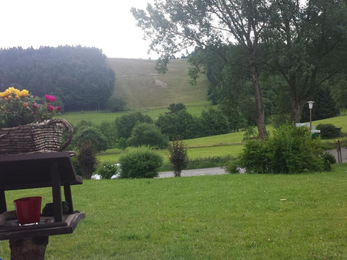 Cosy Apartment Over Usseln With Private Terrace Willingen  Buitenkant foto